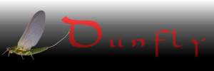 Dunfly Logo