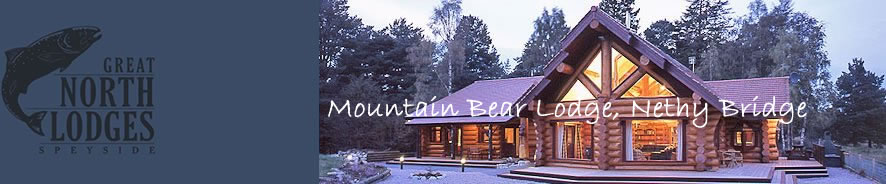 Mountain Bear Lodge