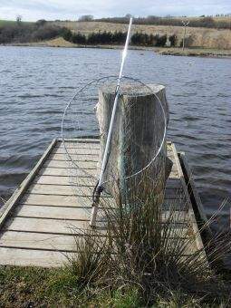 Fastnet Superior Salmon Gye Landing Net